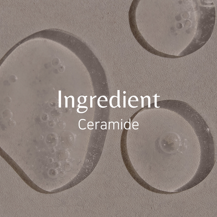 [Ingredients] Ceramide!